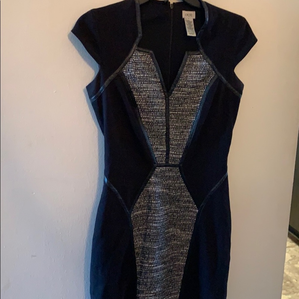 Caché pointe dress